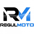 Электро Мотоциклы Regulmoto