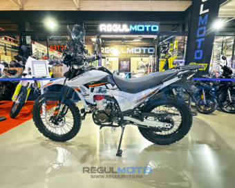 Мотоцикл Regulmoto TE PRO NB300