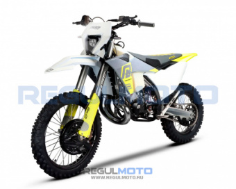 Мотоцикл Regulmoto NIBBI N300-S (NB300) с ПТС