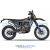 Мотоцикл Regulmoto LEGEND 300 с ПТС 