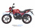 Мотоцикл Regulmoto SK200-9 